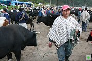 thn_6-Otavalo (9).jpg